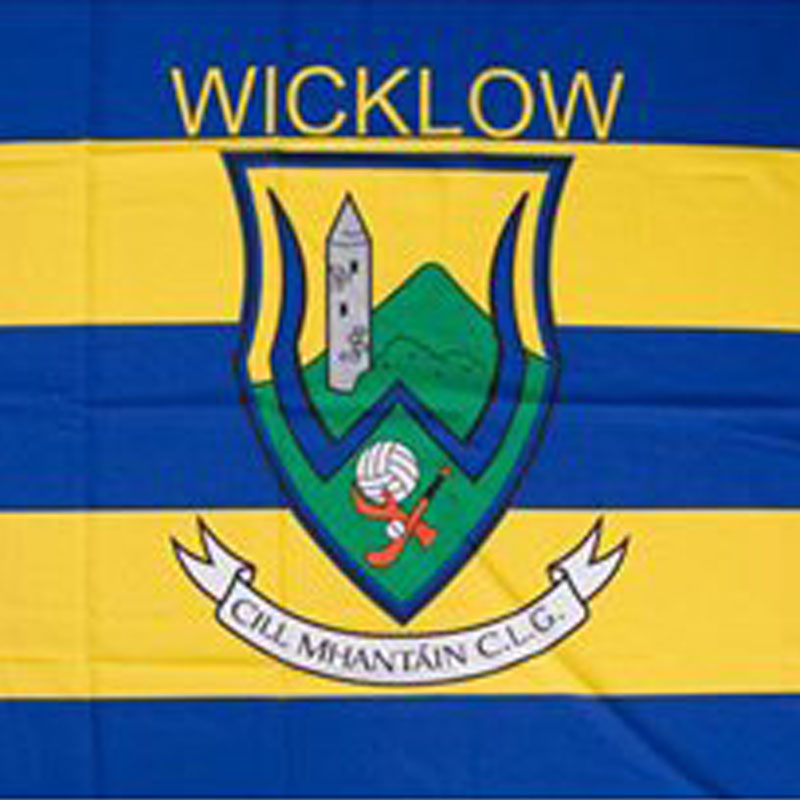 Official Wicklow Gaa Flag Flags2u